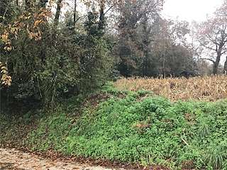 Fechas, información, programa, cartel, imágenes, mapa y ubicación de Castro de Vilar da Torre  en  A Baña