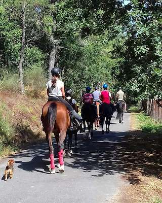 Fechas, información, programa, cartel, imágenes, mapa y ubicación de Club Hípico La Torre  en  A Estrada