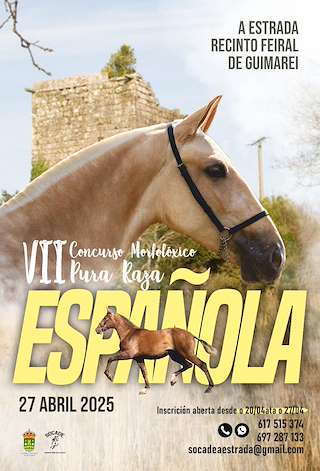VII Concurso Morfolóxico Pura Raza Española