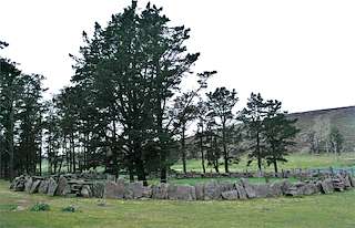 Fechas, información, programa, cartel, imágenes, mapa y ubicación de Curro das Canizadas  en  A Pobra do Caramiñal