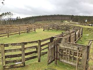 Fechas, información, programa, cartel, imágenes, mapa y ubicación de Curro das Sete Fontes  en  Friol