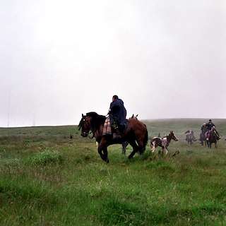Fechas, información, programa, cartel, imágenes, mapa y ubicación de Curro de Candaoso  en  Viveiro