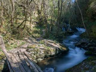 Fechas, información, programa, cartel, imágenes, mapa y ubicación de Devesa da Rogueira (2023)  en  Folgoso do Courel