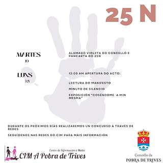 Día Internacional Contra a Violencia de Xénero