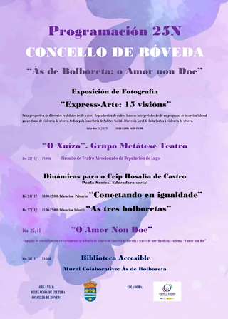 Día Internacional Contra a Violencia de Xénero