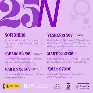 Día Internacional en Contra da Violencia de Xénero