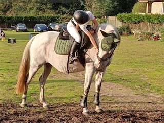 Fechas, información, programa, cartel, imágenes, mapa y ubicación de Equialma  en  Ames