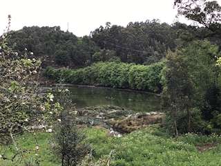 Fechas, información, programa, cartel, imágenes, mapa y ubicación de Espacio Natural Soutoxuste  en  Redondela