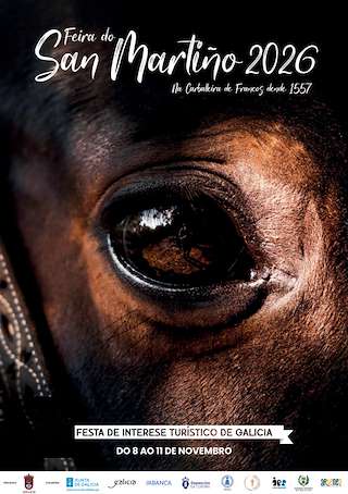 Feira Cabalar do San Martiño de Francos