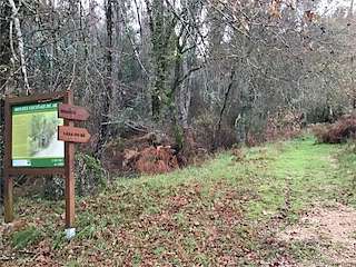 Fechas, información, programa, cartel, imágenes, mapa y ubicación de Fervenza da Laxe do Avó (2022)  en  Arbo