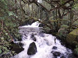 Fechas, información, programa, cartel, imágenes, mapa y ubicación de Fervenza de Fírvado  en  Mazaricos