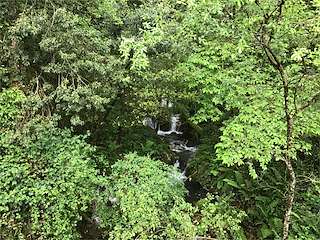 Fechas, información, programa, cartel, imágenes, mapa y ubicación de Fervenza de Neibó  en  Marín