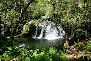 Fechas, información, programa, cartel, imágenes, mapa y ubicación de Fervenza de Parga  en  Zas