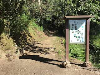 Fechas, información, programa, cartel, imágenes, mapa y ubicación de Fervenza do Pereiro  en  Poio