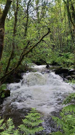 Fechas, información, programa, cartel, imágenes, mapa y ubicación de Fervenza do Rego de Cubes  en  Vimianzo