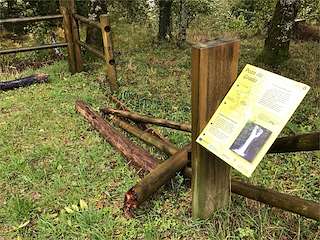 Fechas, información, programa, cartel, imágenes, mapa y ubicación de Fervenza Pozo da Grada  en  Folgoso do Courel