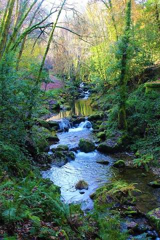 Fechas, información, programa, cartel, imágenes, mapa y ubicación de Fervenza y Molinos del Río Gorgua (2023)  en  Padrenda