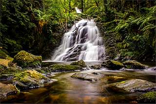 Fechas, información, programa, cartel, imágenes, mapa y ubicación de Fervenzas da Rexidoira  en  Oza Cesuras