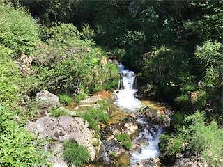 Fechas, información, programa, cartel, imágenes, mapa y ubicación de Fervenzas de Cavadosa  en  Cerdedo-Cotobade