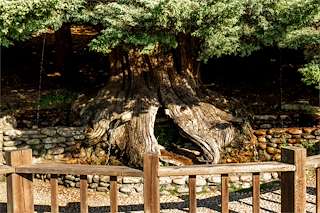 Fechas, información, programa, cartel, imágenes, mapa y ubicación de Fonte do Vieiro  en  Bande