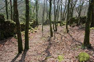 Fechas, información, programa, cartel, imágenes, mapa y ubicación de Foxo do Lobo de Corredoira  en  Cerdedo-Cotobade