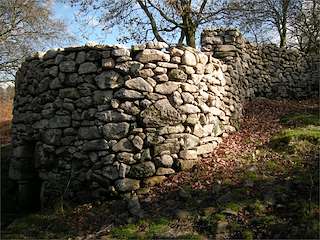 Fechas, información, programa, cartel, imágenes, mapa y ubicación de Foxo do Lobo de Paraños  en  Cerdedo-Cotobade