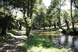 Fechas, información, programa, cartel, imágenes, mapa y ubicación de Fraga de A Marronda (2023)  en  Baleira