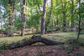 Fechas, información, programa, cartel, imágenes, mapa y ubicación de Fraga de Catasós (2022)  en  Lalín