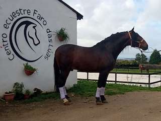 Fechas, información, programa, cartel, imágenes, mapa y ubicación de Hípica Faro das Lúas  en  Vilanova de Arousa