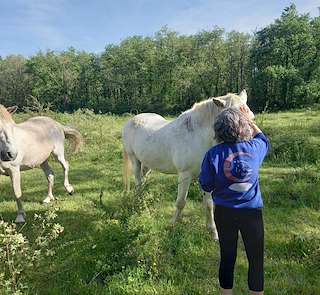 Fechas, información, programa, cartel, imágenes, mapa y ubicación de Hipica Os Trancos  en  Monforte de Lemos