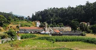 Fechas, información, programa, cartel, imágenes, mapa y ubicación de Iglesia de San Mamede de Loureza  en  Oia
