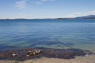 Fechas, información, programa, cartel, imágenes, mapa y ubicación de Illa das Briñas  en  Vilagarcía de Arousa