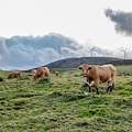 Que ver y hacer en la comarca de Terra Chá