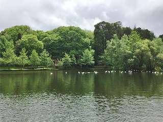 Fechas, información, programa, cartel, imágenes, mapa y ubicación de Lago Castiñeiras - Cotorredondo (2021)  en  Vilaboa