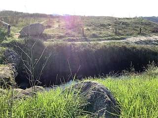 Fechas, información, programa, cartel, imágenes, mapa y ubicación de Lagoa de A Bodeira  en  O Grove