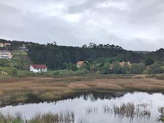 Fechas, información, programa, cartel, imágenes, mapa y ubicación de Laguna de Cabo da Area  en  Laxe
