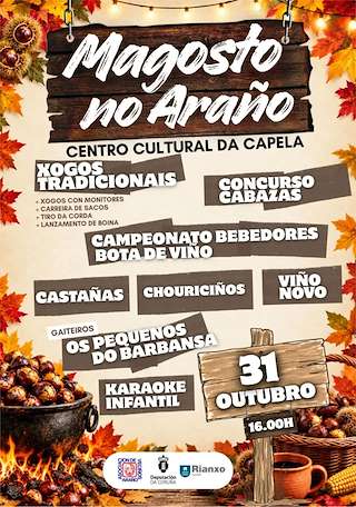 Magosto Popular de Araño