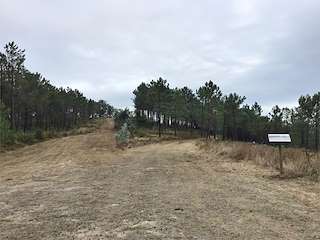 Fechas, información, programa, cartel, imágenes, mapa y ubicación de Minas Galaico Romanas de As Bornas  en  O Rosal