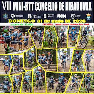VIII Mini BTT 