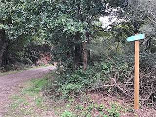 Fechas, información, programa, cartel, imágenes, mapa y ubicación de Miradoiro da Cariza  en  Taboada