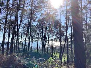 Fechas, información, programa, cartel, imágenes, mapa y ubicación de Mirador de A Garita  en  Ribeira