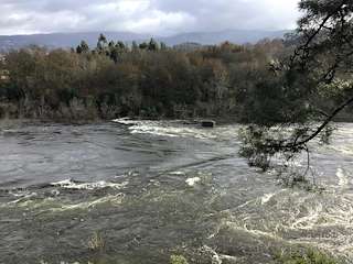 Fechas, información, programa, cartel, imágenes, mapa y ubicación de Mirador de As Pesqueiras (2022)  en  Arbo