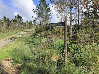 Fechas, información, programa, cartel, imágenes, mapa y ubicación de Mirador de Corzón  en  Mazaricos