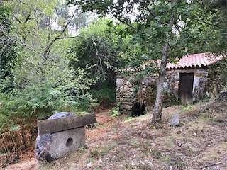 Fechas, información, programa, cartel, imágenes, mapa y ubicación de Molinos da Regueira  en  Tomiño