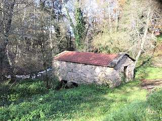 Fechas, información, programa, cartel, imágenes, mapa y ubicación de Molinos de Cabreira (2023)  en  Salvaterra do Miño