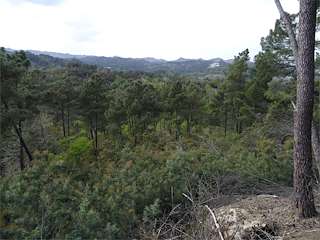 Fechas, información, programa, cartel, imágenes, mapa y ubicación de Monte de Ridimoas  en  Beade