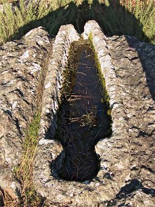 Fechas, información, programa, cartel, imágenes, mapa y ubicación de Necrópolis medieval Pedra do Home (2024)  en  Val do Dubra