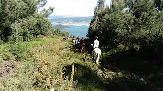 Fechas, información, programa, cartel, imágenes, mapa y ubicación de O Marruxal  en  Poio