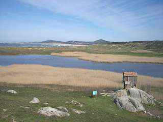 Fechas, información, programa, cartel, imágenes, mapa y ubicación de Observatorio de Aves de Vixán (2022)  en  Ribeira