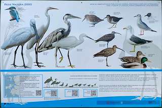 Fechas, información, programa, cartel, imágenes, mapa y ubicación de Observatorio de Aves Norte  en  O Grove